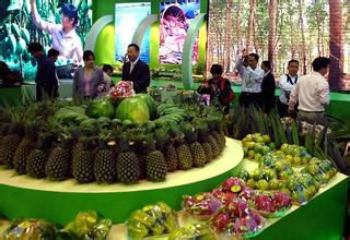 “十三五”我省做大做強熱帶特色高效農業(yè)農產品逐步實現“訂單式生產”