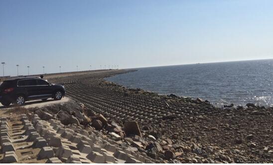 我院院長李文輝帶隊考察盤錦市大洼縣文化旅游項目