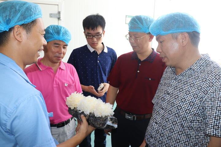 “湘軍故里，鋼鐵新城”我院助力婁底市開(kāi)啟創(chuàng)新發(fā)展新篇章