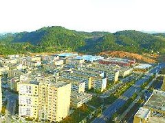 中山：加快建設東升脆肉鯇、橫欄花木省級現(xiàn)代農業(yè)產業(yè)園