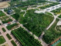 膠州、萊西獲選山東省省級(jí)現(xiàn)代農(nóng)業(yè)產(chǎn)業(yè)園建設(shè)主體