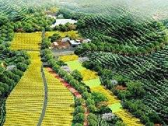 黑龍江省“十四五”規(guī)劃《綱要》出爐 聚焦“十個新突破”明確13個領域重點任