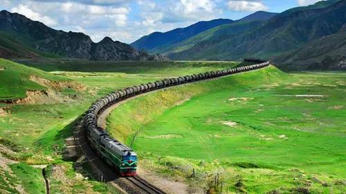 “一帶一路”，帶西充走上國際有機路