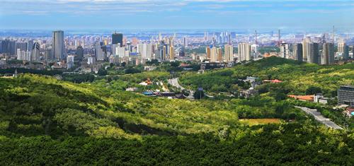 鞍山市鐵東區(qū)以項目為載體抓發(fā)展振興老工業(yè)基地做貢獻(xiàn)