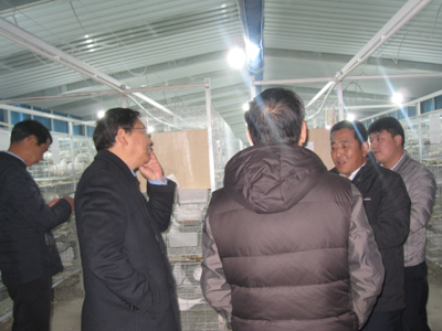 太行山革命老區，阜平縣鄉村振興正當時