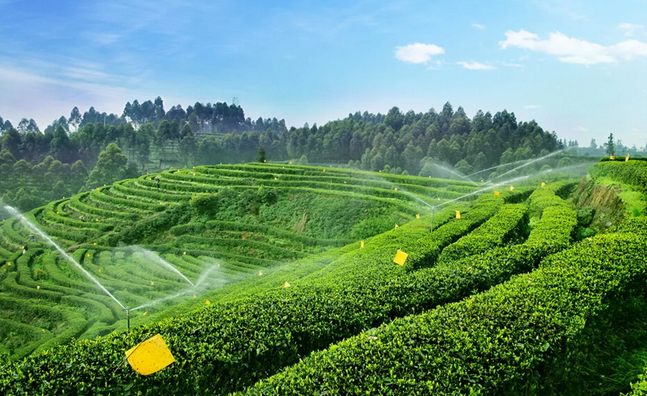 2019年國家先給錢后建設(shè)的4類農(nóng)業(yè)產(chǎn)業(yè)項目，最多補(bǔ)貼1個億