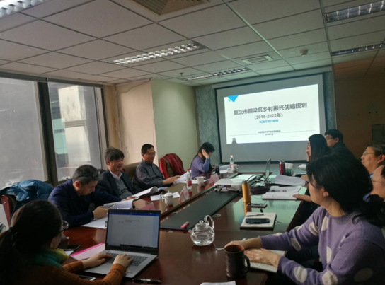 問(wèn)診專家,繪制龍鄉(xiāng)銅梁鄉(xiāng)村振興新藍(lán)圖