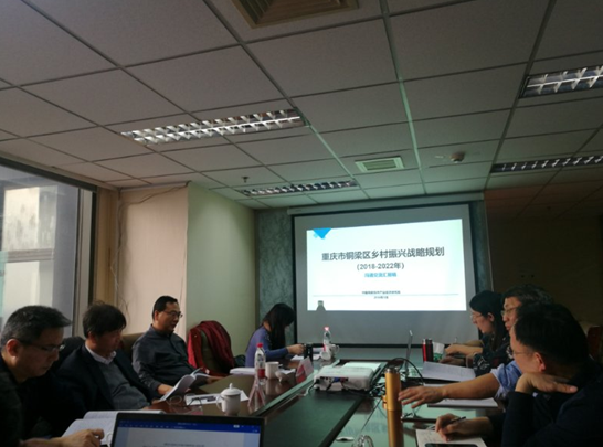 問(wèn)診專家,繪制龍鄉(xiāng)銅梁鄉(xiāng)村振興新藍(lán)圖