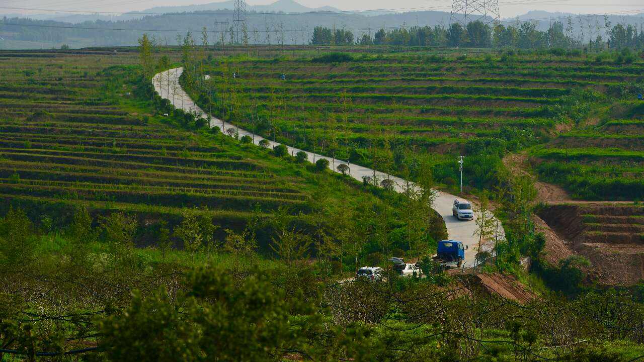 日照：“項目化”引領鄉村振興扎實開局