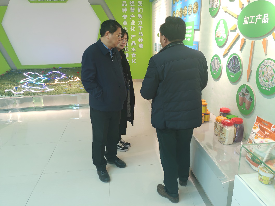 “中國薯都”再奏新旋律，定西市安定區(qū)開啟馬鈴薯產(chǎn)業(yè)發(fā)展新篇章