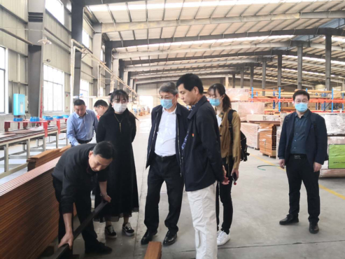 竹青筍香“桃花江”，現代農業吐芬芳