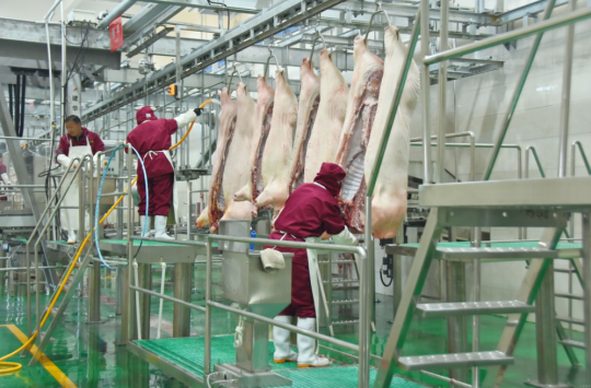 錦繡“五彩農(nóng)業(yè)”，高平市爭創(chuàng)國家 現(xiàn)代農(nóng)業(yè)產(chǎn)業(yè)園吹響集結(jié)號