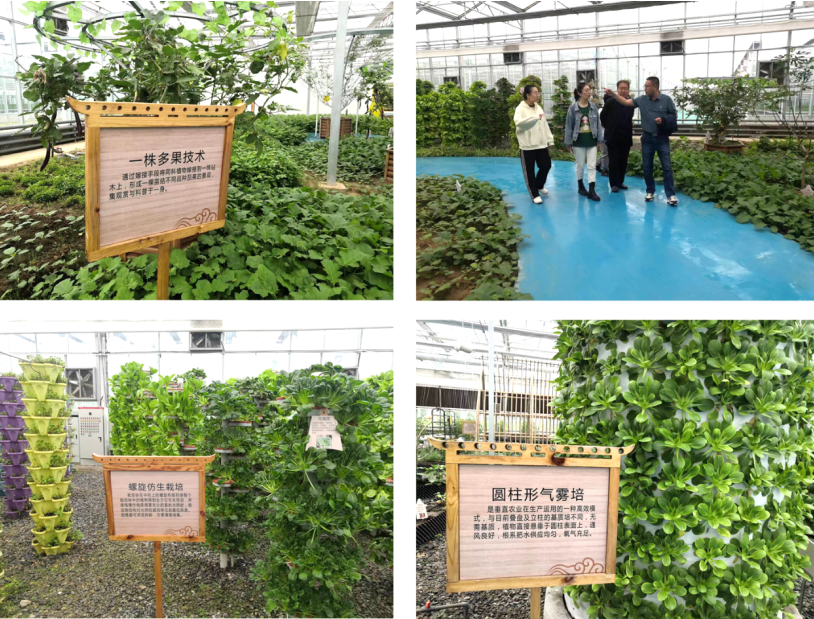 晉之源果蔬再啟航，曲沃開啟國家農業現代化示范區新征程