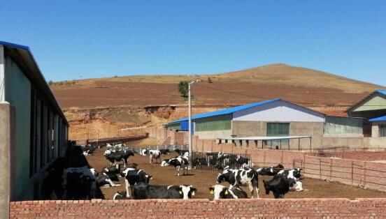 科右前旗農(nóng)業(yè)現(xiàn)代化示范區(qū)創(chuàng)建按下“加速鍵”，吹響“集結(jié)號(hào)”