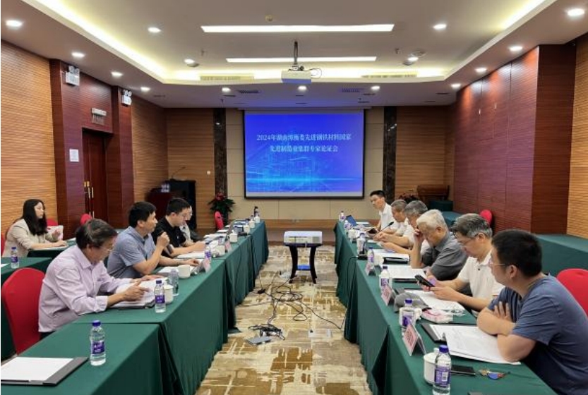 《培育發展湘潭市、婁底市、衡陽市先進鋼鐵材料集群實施方案》獲專家高度評