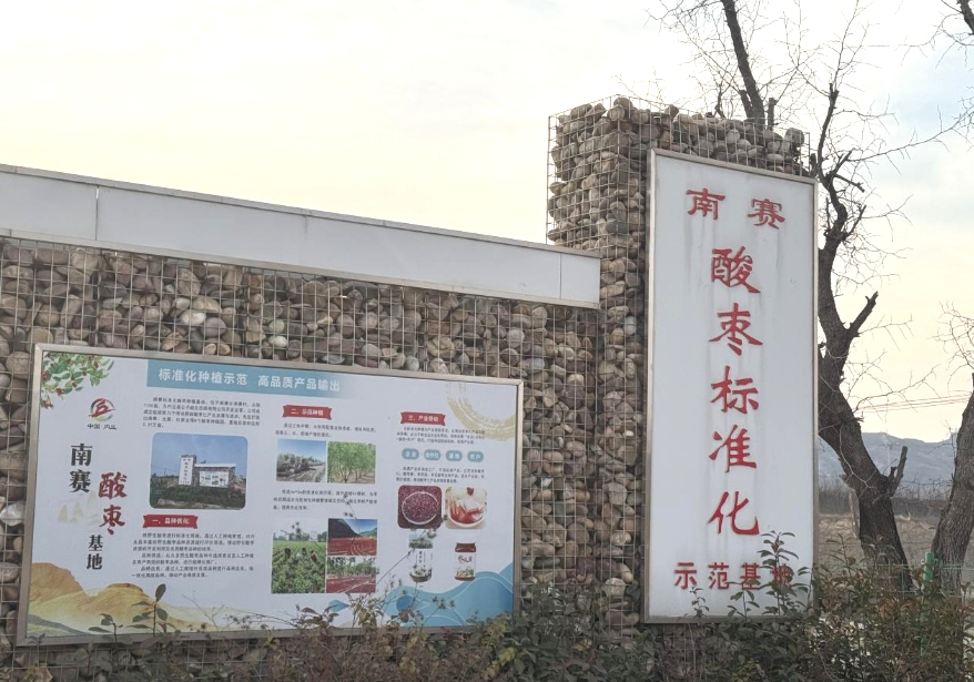 大盈之地，寶藏內丘—我院專家組走進太行山 酸棗之鄉調研