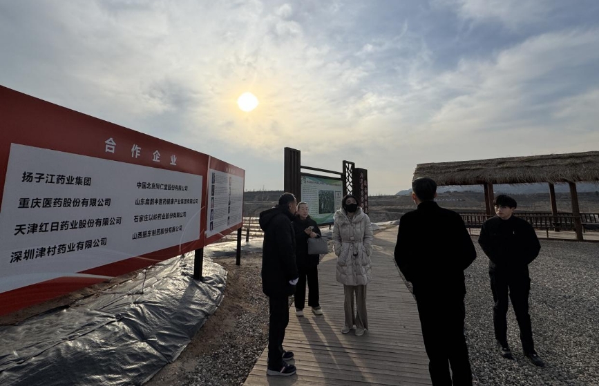 大盈之地，寶藏內丘—我院專家組走進太行山 酸棗之鄉調研